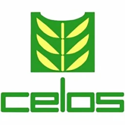 CELOS identificeert oorzaak cassaveziekte: schimmel bedreigt voedselteelt