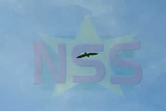 Warme zondag met enkele verspreide buien 