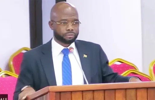 Chikungunya-uitbraak: 134 bevestigde besmettingen, één overlijden gemeld