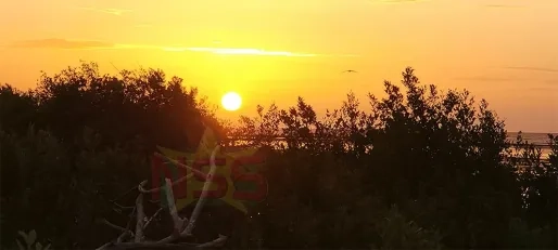 Column: Hoop en verbondenheid in een onzekere wereld