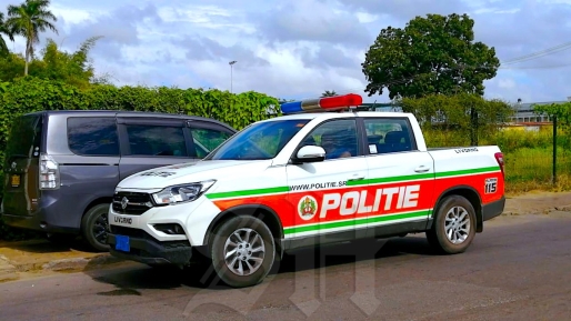 Man aangehouden na ontuchtige handelingen in bijzijn van minderjarigen