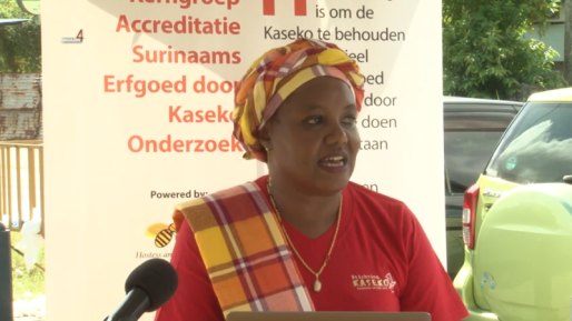 Procedurele fouten vertragen benoeming Rosita Leeflang tot STVS-directeur