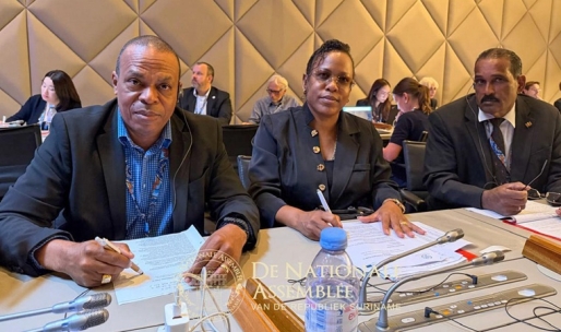 Cotino, Reyme en Jogi naar WTO Public Forum in Zwitserland