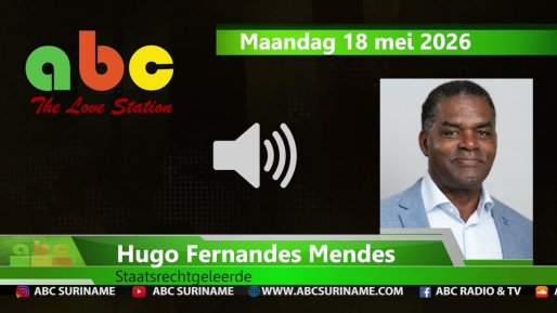 Embedded thumbnail for Fernandes Mendes: “DNA mag inhoudelijk geen onderzoek doen” 
