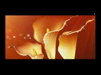 Embedded thumbnail for Kaak 1 Aug 2020
