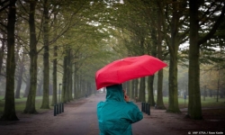 © Copyright ANP 2022 Code geel ook vanwege mogelijk veel neerslag in drie provincies