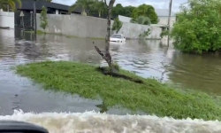 Embedded thumbnail for Compilatie wateroverlast Paramaribo na hevige regenval - 26 Juni 2024