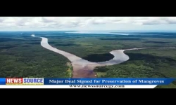 Embedded thumbnail for Guyana en Frans Timmermans ondertekenen overeenkomst 4,6 miljoen euro voor behoud mangrovekuslijn