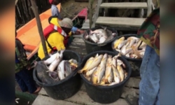 Embedded thumbnail for Nickerie krijgt een moderne vis aanlandingsplaats STVS JOURNAAL 29 jan 2023